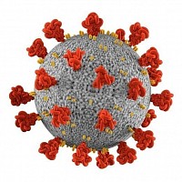 Influenza Virus